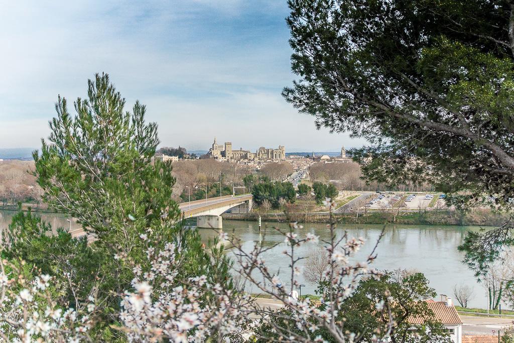 Ymca Villeneuve Les Avignon Hotel Esterno foto